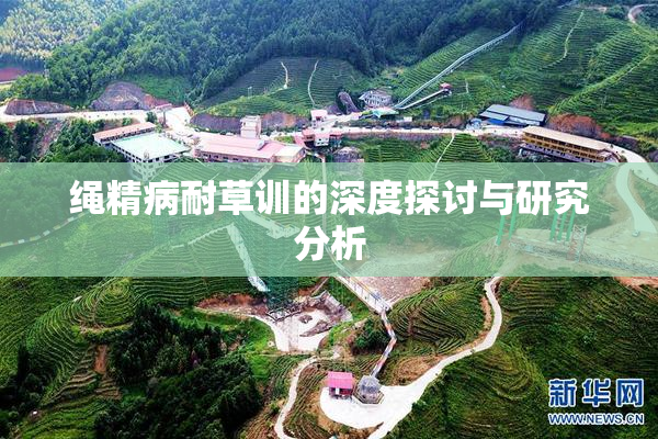 绳精病耐草训的深度探讨与研究分析