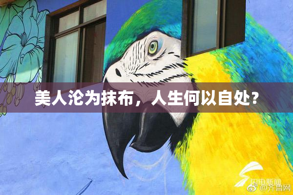 美人沦为抹布，人生何以自处？