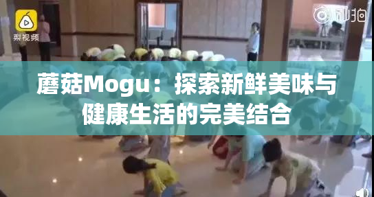 蘑菇Mogu：探索新鲜美味与健康生活的完美结合