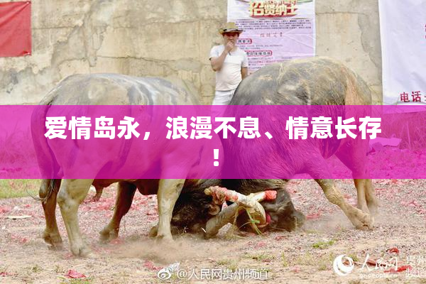 爱情岛永，浪漫不息、情意长存！