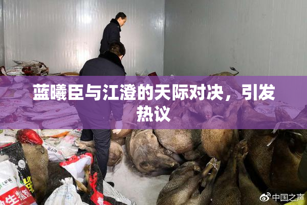 蓝曦臣与江澄的天际对决，引发热议