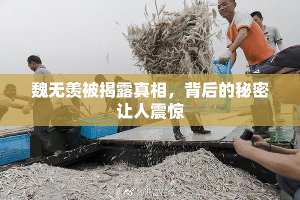 魏无羡被揭露真相，背后的秘密让人震惊