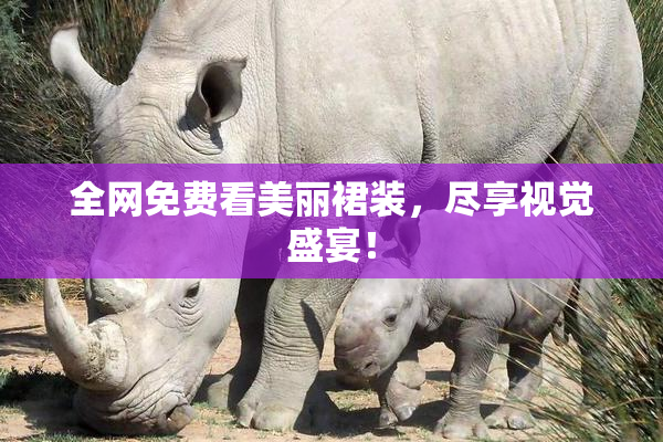 全网免费看美丽裙装，尽享视觉盛宴！