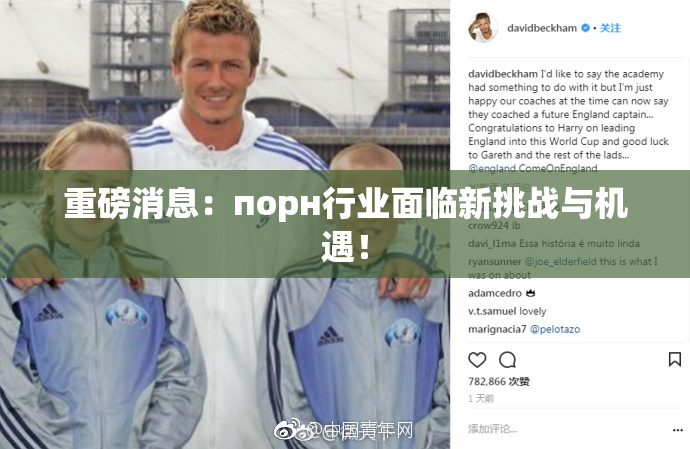重磅消息：порн行业面临新挑战与机遇！