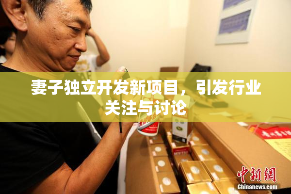 妻子独立开发新项目，引发行业关注与讨论