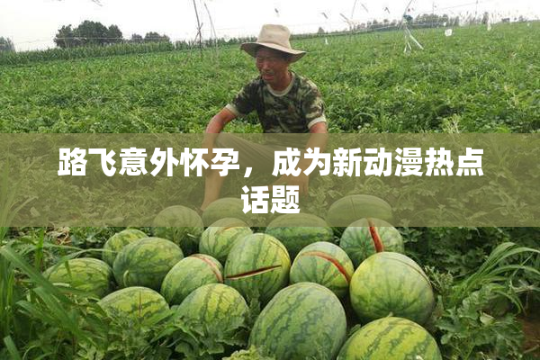 路飞意外怀孕，成为新动漫热点话题