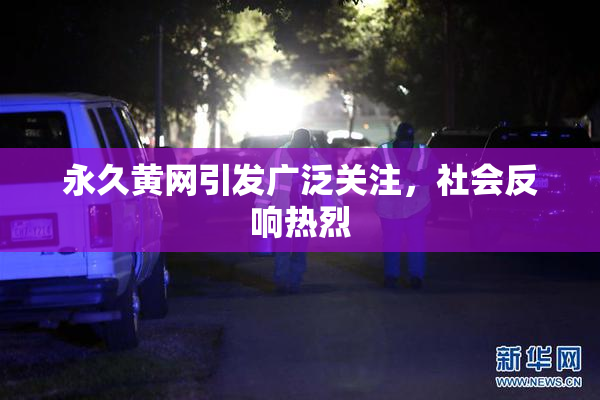 永久黄网引发广泛关注，社会反响热烈