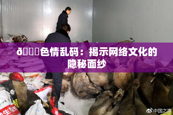 🔞色情乱码：揭示网络文化的隐秘面纱