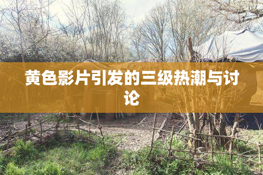 黄色影片引发的三级热潮与讨论
