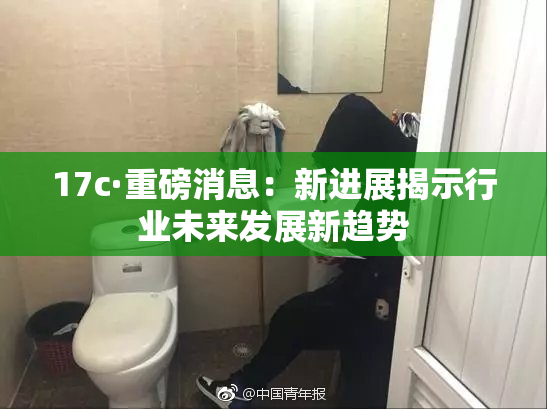 17c·重磅消息：新进展揭示行业未来发展新趋势