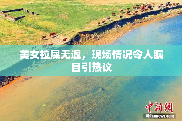 美女拉屎无遮，现场情况令人瞩目引热议
