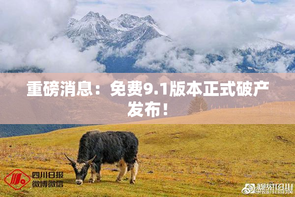 重磅消息：免费9.1版本正式破产发布！
