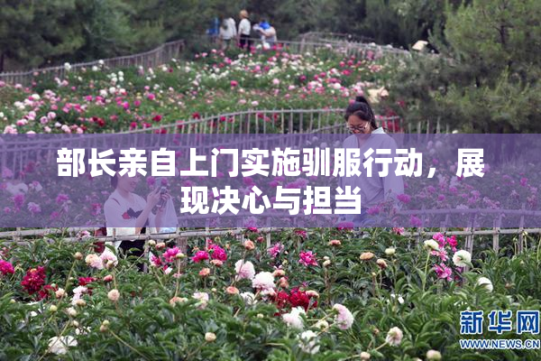 部长亲自上门实施驯服行动，展现决心与担当