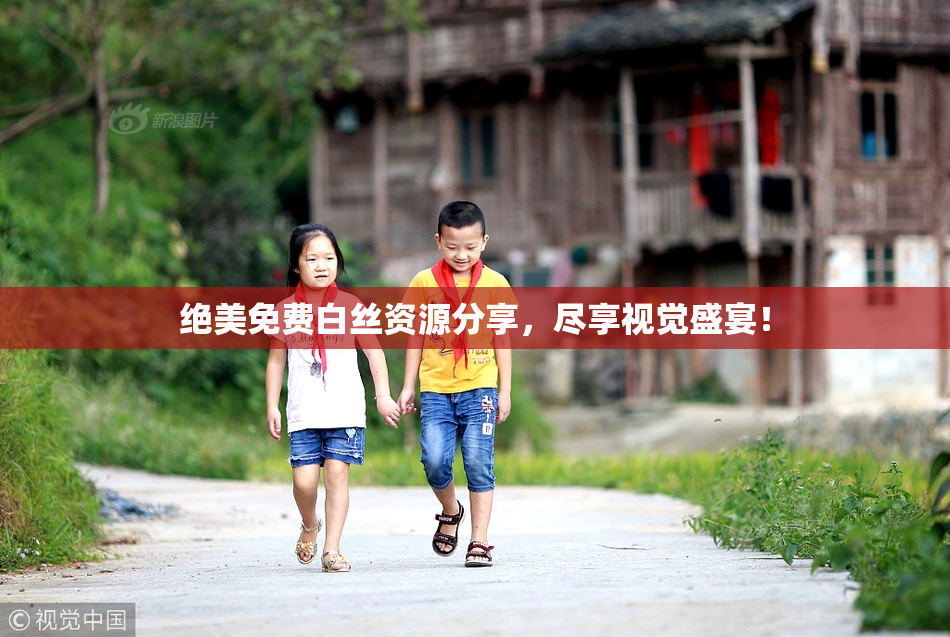 绝美免费白丝资源分享，尽享视觉盛宴！
