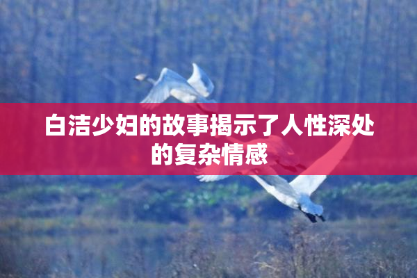 白洁少妇的故事揭示了人性深处的复杂情感