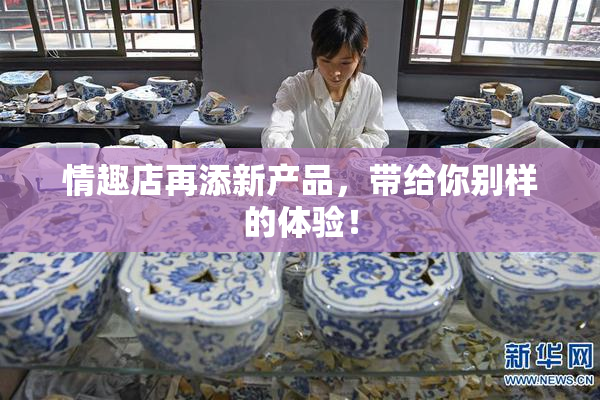 情趣店再添新产品，带给你别样的体验！