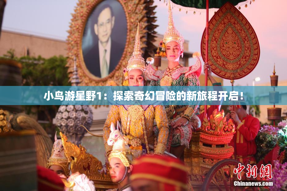 小鸟游星野1：探索奇幻冒险的新旅程开启！