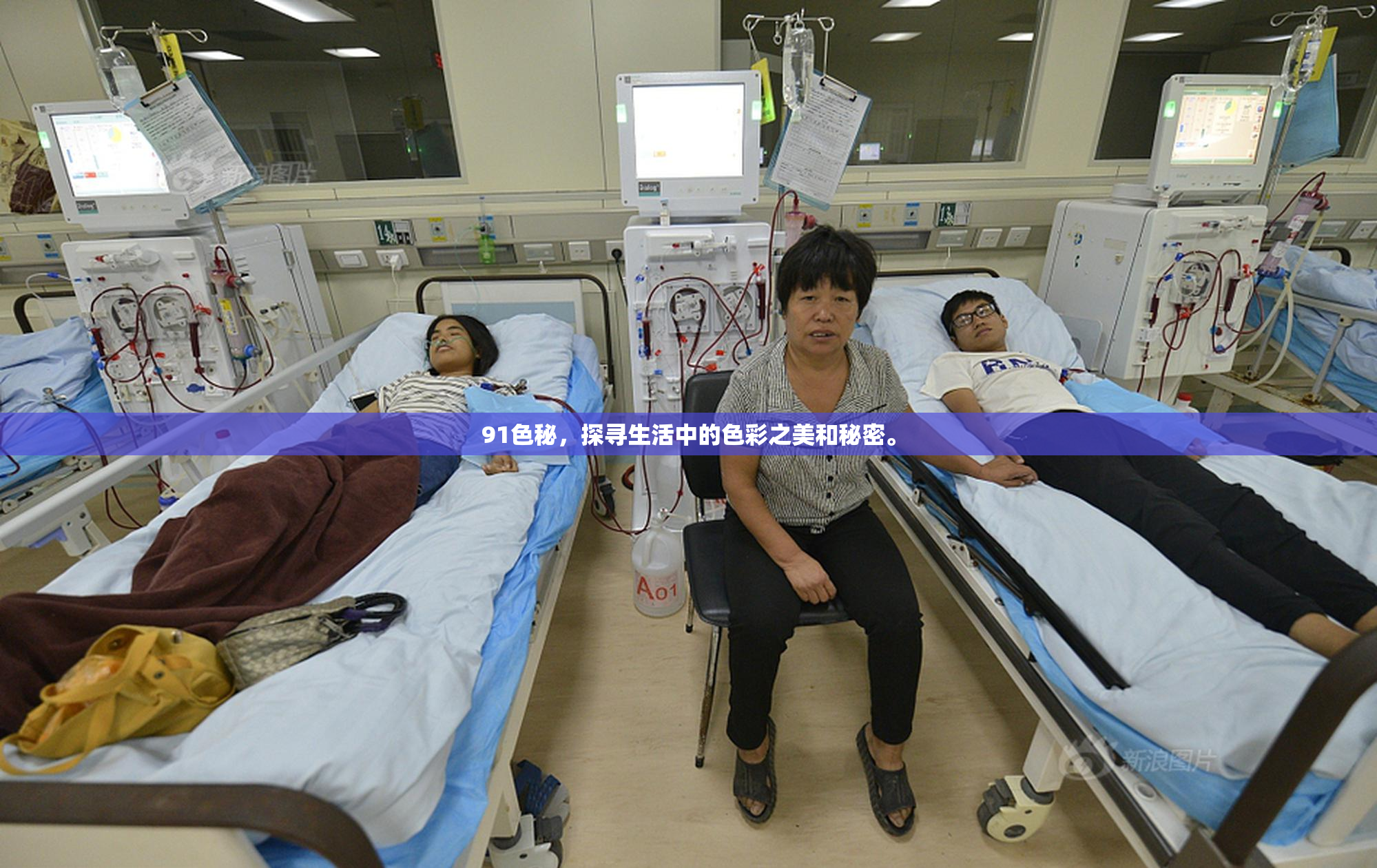 91色秘，探寻生活中的色彩之美和秘密。