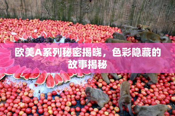 欧美A系列秘密揭晓，色彩隐藏的故事揭秘