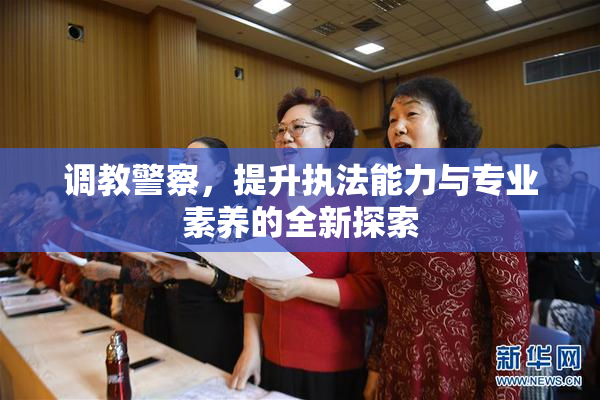 调教警察，提升执法能力与专业素养的全新探索