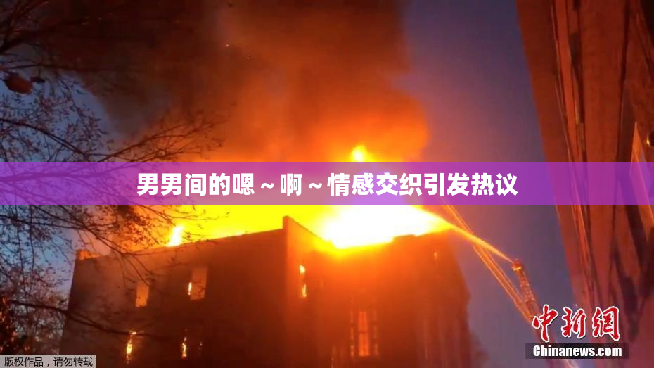 男男间的嗯～啊～情感交织引发热议