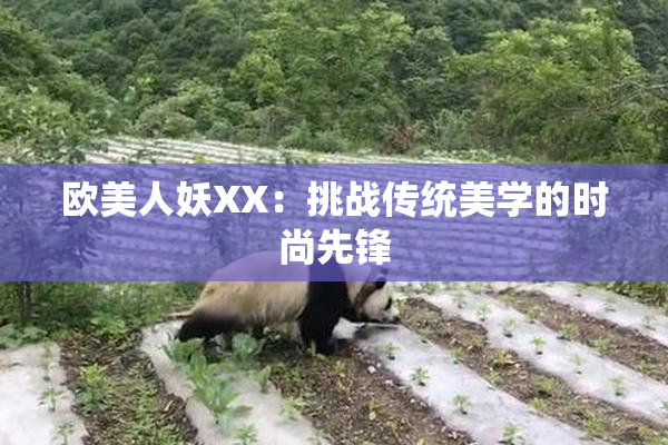 欧美人妖XX：挑战传统美学的时尚先锋