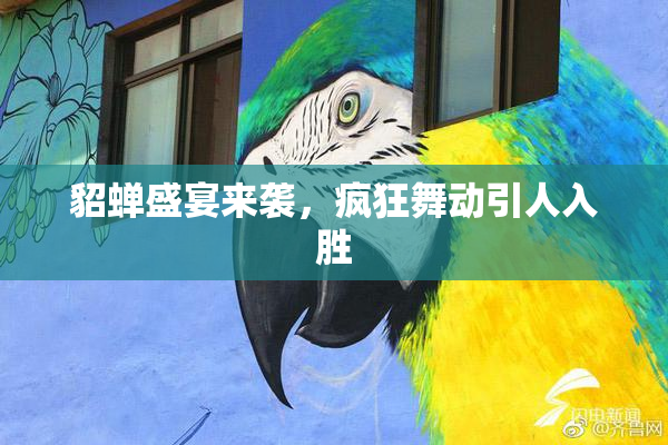 貂蝉盛宴来袭，疯狂舞动引人入胜