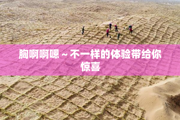 胸啊啊嗯～不一样的体验带给你惊喜