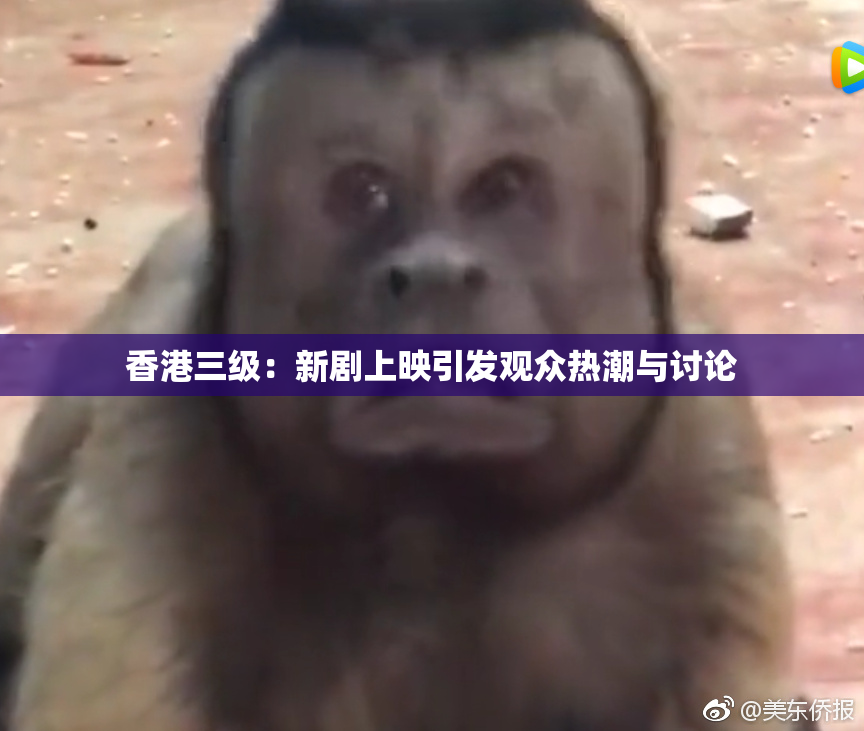 香港三级：新剧上映引发观众热潮与讨论