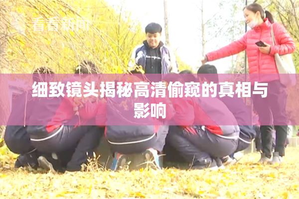 细致镜头揭秘高清偷窥的真相与影响