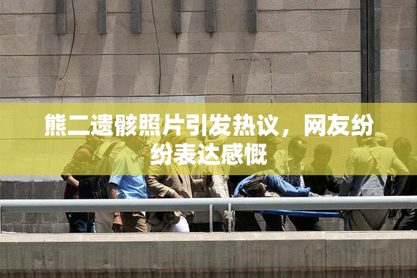 熊二遗骸照片引发热议，网友纷纷表达感慨