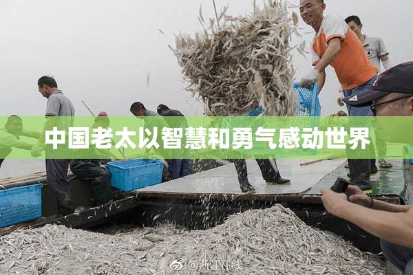 中国老太以智慧和勇气感动世界