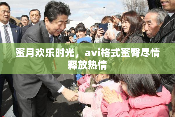 蜜月欢乐时光，avi格式蜜臀尽情释放热情