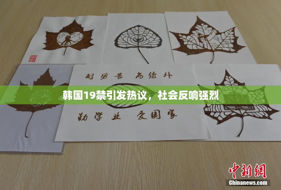 韩国19禁引发热议，社会反响强烈