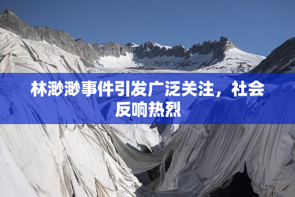 林渺渺事件引发广泛关注，社会反响热烈