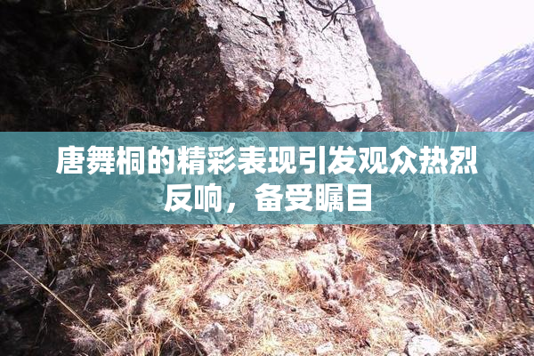 唐舞桐的精彩表现引发观众热烈反响，备受瞩目