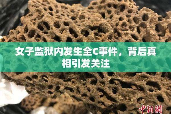 女子监狱内发生全C事件，背后真相引发关注