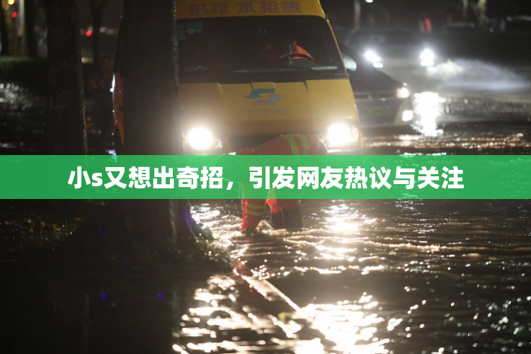 小s又想出奇招，引发网友热议与关注