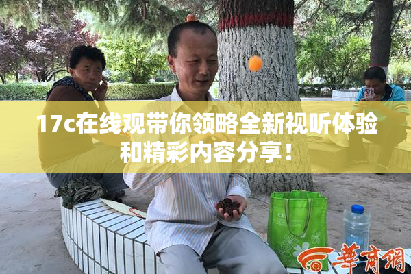 17c在线观带你领略全新视听体验和精彩内容分享！