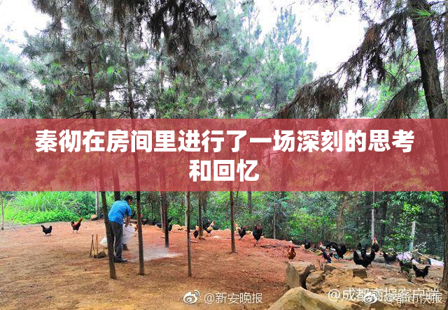 秦彻在房间里进行了一场深刻的思考和回忆