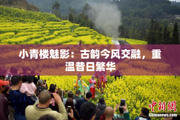小青楼魅影：古韵今风交融，重温昔日繁华