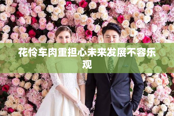花怜车肉重担心未来发展不容乐观