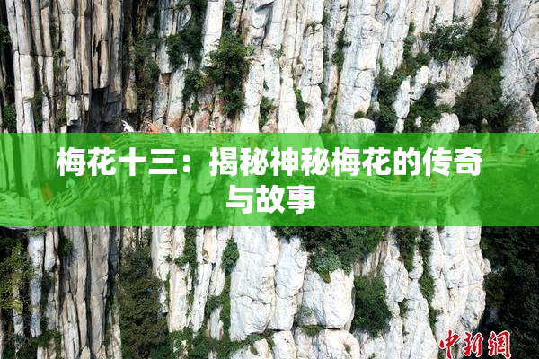 梅花十三：揭秘神秘梅花的传奇与故事
