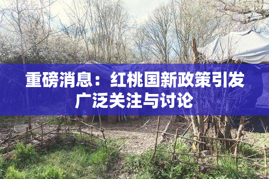 重磅消息：红桃国新政策引发广泛关注与讨论