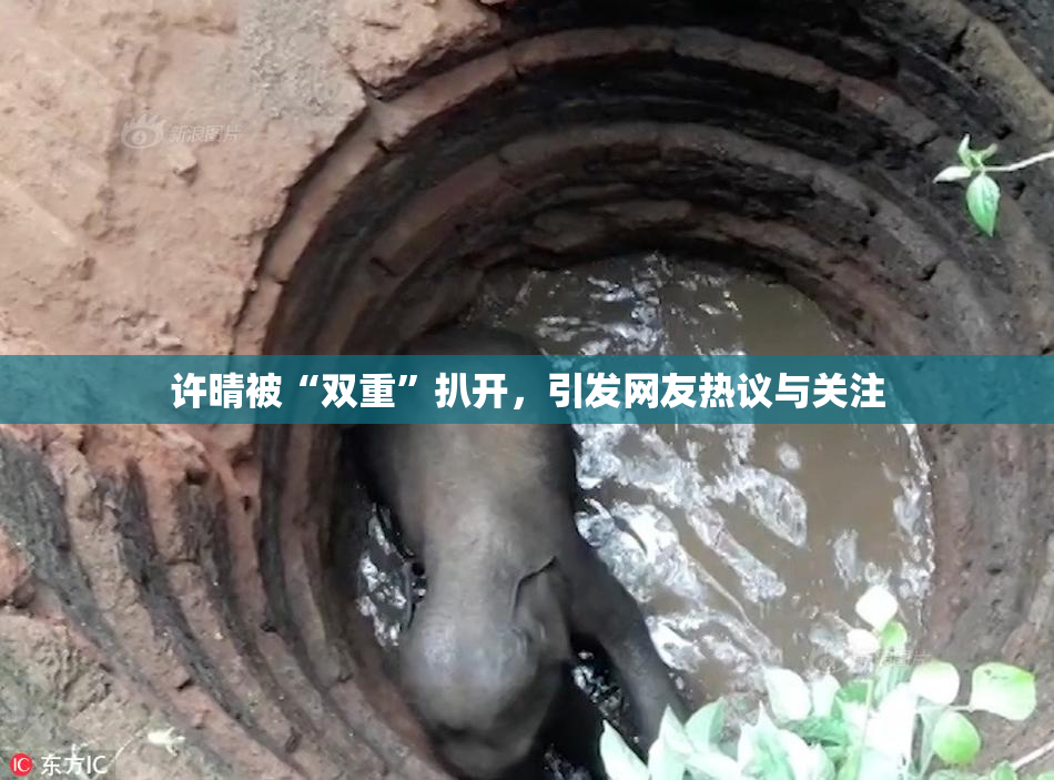 许晴被“双重”扒开，引发网友热议与关注