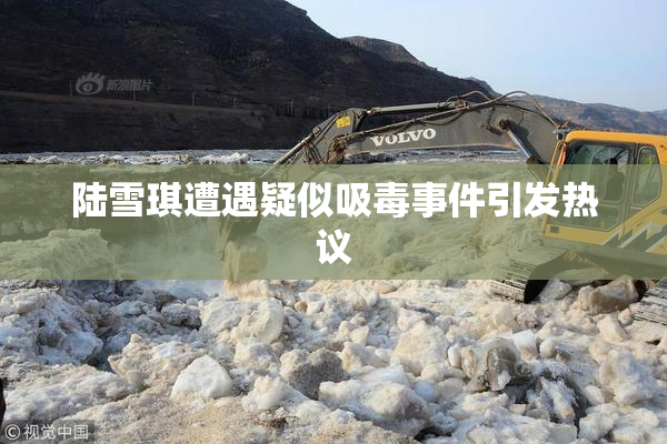 陆雪琪遭遇疑似吸毒事件引发热议