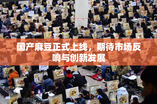 国产麻豆正式上线，期待市场反响与创新发展