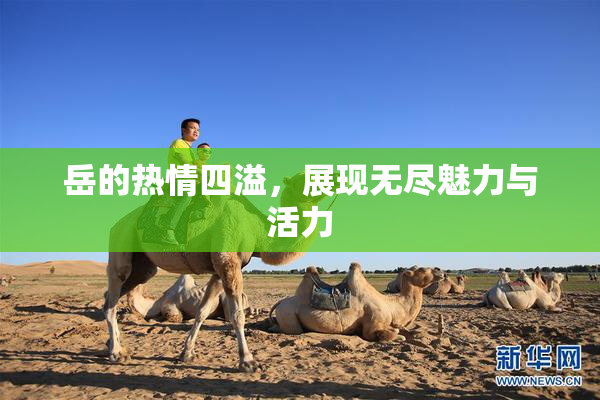 岳的热情四溢，展现无尽魅力与活力