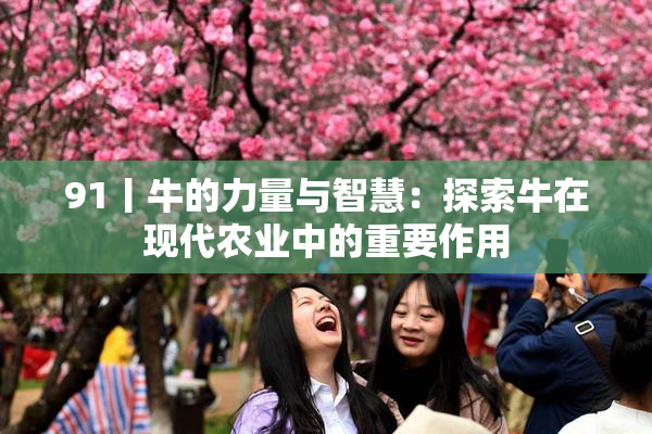 91丨牛的力量与智慧：探索牛在现代农业中的重要作用