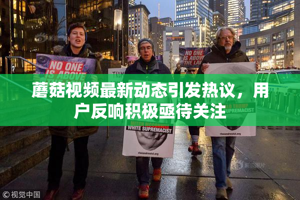 蘑菇视频最新动态引发热议，用户反响积极亟待关注